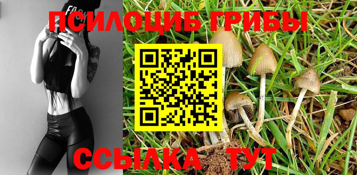 Галлюциногенные грибы Cubensis  Шахты  Псилоцибиновые грибы Psilocybine cubensis 