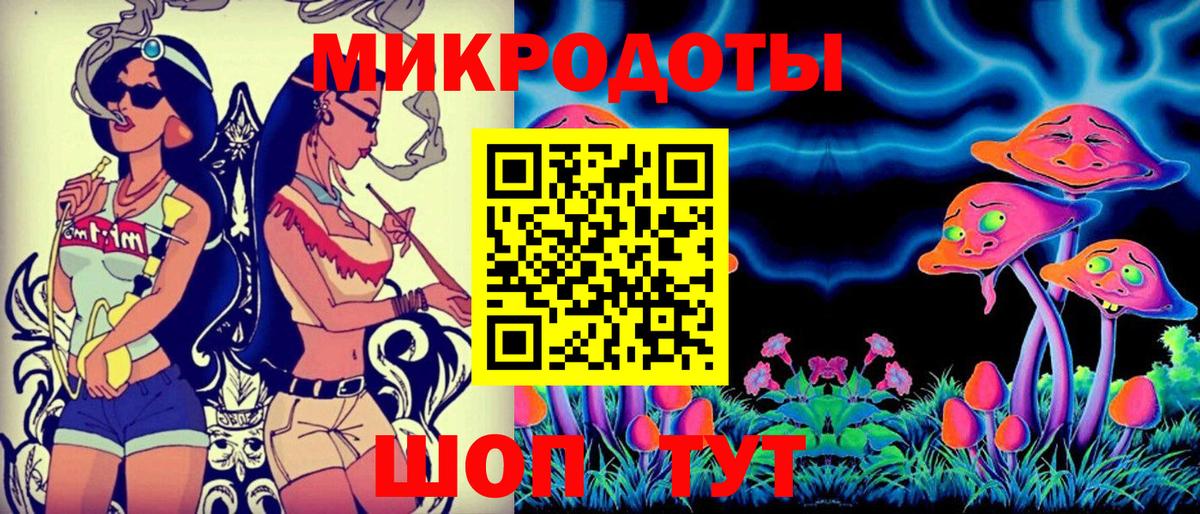 Псилоцибиновые грибы Psilocybe Шахты