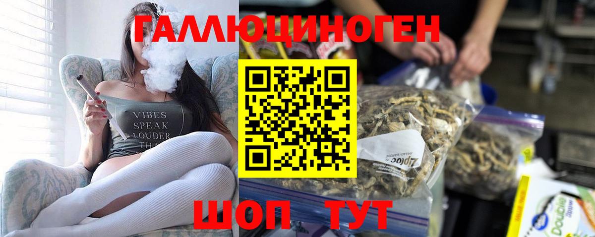 Псилоцибиновые грибы Psilocybe  Вход с VPN  Шахты 